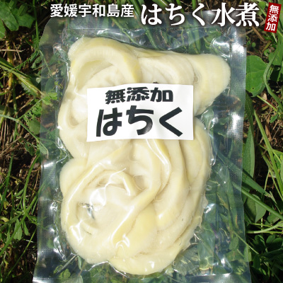 新物 国産 愛媛県産ハチク水煮（180g）　●常温発送、到着後は冷蔵保管をお願いします。無漂白／薬品不使用