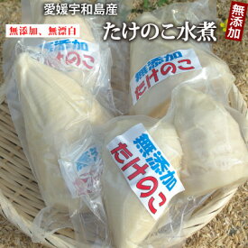 【クール便】【R7年産】国産 愛媛県産たけのこホール水煮1kg（約3〜6袋)　●冷蔵保管をお願いします。孟宗竹／無漂白／薬品不使用
