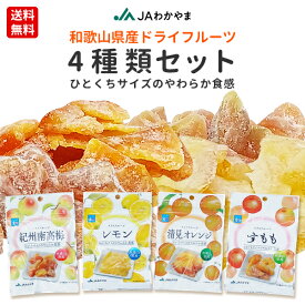【送料無料】【ポスト投函】国産　和歌山県産　ドライフルーツ　4種類セット　紀州南高梅　清見オレンジ　レモン　すもも　国産ドライフルーツ　JAわかやま　JA紀南　お菓子　おやつ