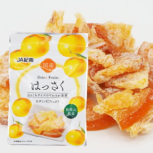 国産 和歌山県産 ドライフルーツ はっさく 20g 国産ドライフルーツ 八朔 お菓子 おやつ JA紀南