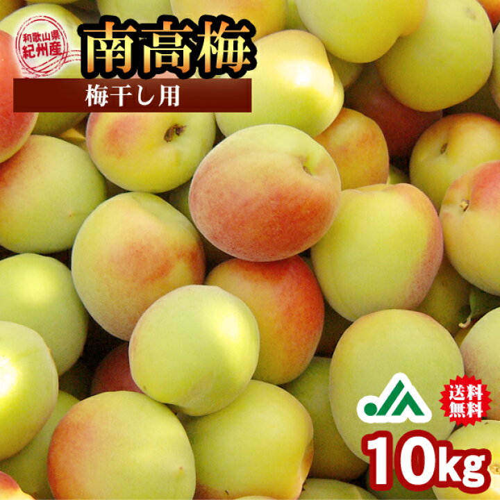 楽天市場】※2024年販売終了※【送料無料】＜梅干し用＞紀州産南高梅 2L 