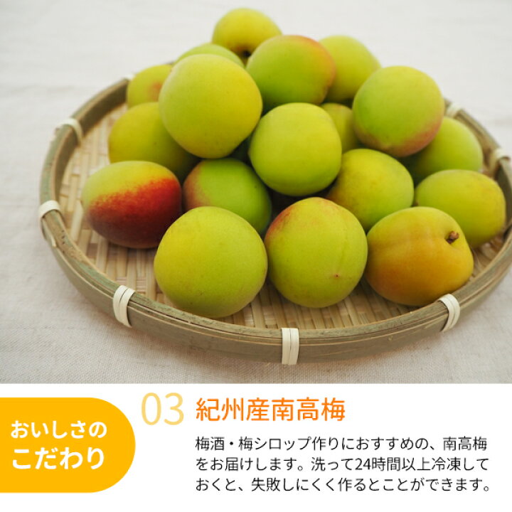 楽天市場】【送料無料】＜早め発送＞紀州産南高梅（2Lサイズ） 約10kg 