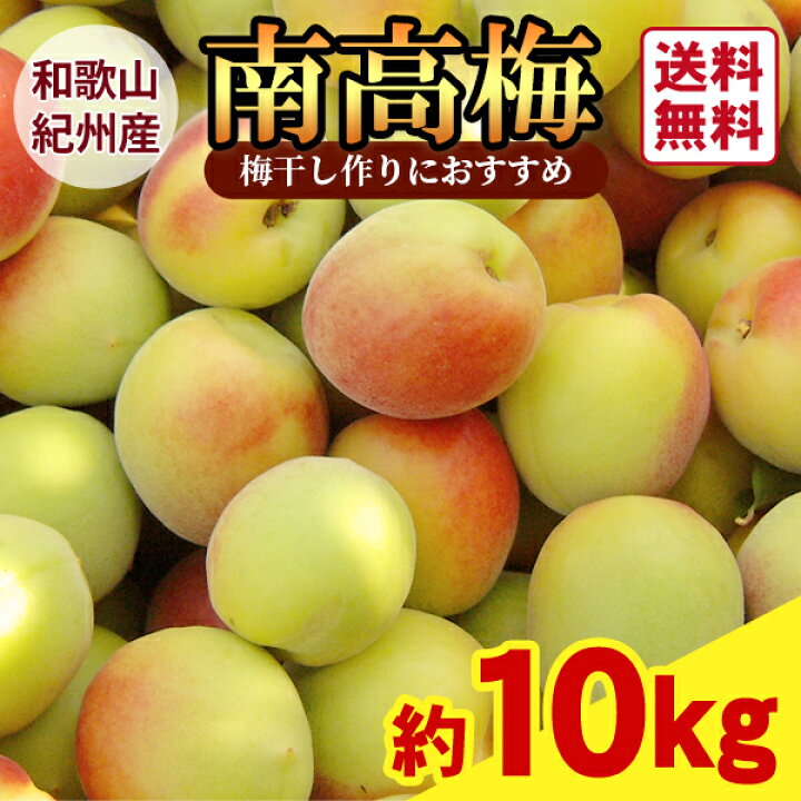 楽天市場】【送料無料】＜梅干し用＞紀州産南高梅 2Lサイズ 3Lサイズ 