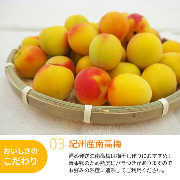 楽天市場】【送料無料】＜梅干し用＞紀州産南高梅 2Lサイズ 3Lサイズ 