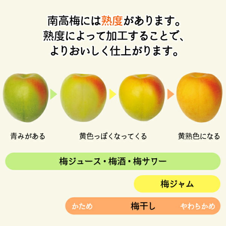 楽天市場】【送料無料】＜梅干し用＞紀州産南高梅 2Lサイズ 3Lサイズ 