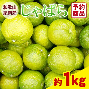 a̎RIY@΂1kg@̉ʎƌĂ΂kRY̍_k@ԕ̋G߂ɑ咍ڂ̊k@ו@Wo@ő4܂
