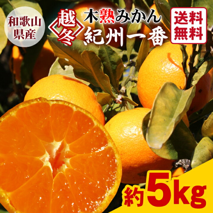 楽天市場】【送料無料】越冬木熟みかん「紀州一番」（大小サイズ混合 