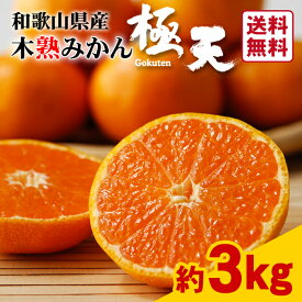 【送料無料】【12月下旬発送】木熟みかん「極天」（小玉サイズ） 3kg★和歌山紀南の樹上完熟みかん☆高糖度　和歌山県　JA　紀南　ブランド　光センサー　早生　温州　柑橘　贈答用　ギフト　フルーツ　お礼　手土産　季節限定　果物　12月　冬　限定　産地直送