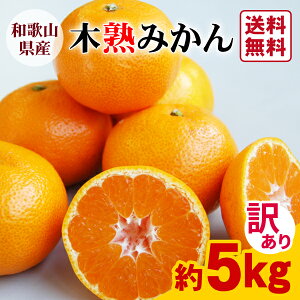 【送料無料】わけあり 木熟みかん キズありサイズ混合(L〜2Sサイズ) 5kg★和歌山紀南の木熟みかん☆とろけるような果肉☆ お買得品 ワケあり 訳あり 家庭用 お得 JA 紀南 和