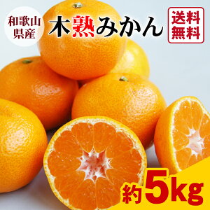 yz؏n݂iS`MTCYj 5kga̎RI̖؏n݂񁙂Ƃ낯悤ȉʓ@t[c@ʕ@Gߌ@12@~@k@VN@Yn@Ε@a̎R@JA@I@