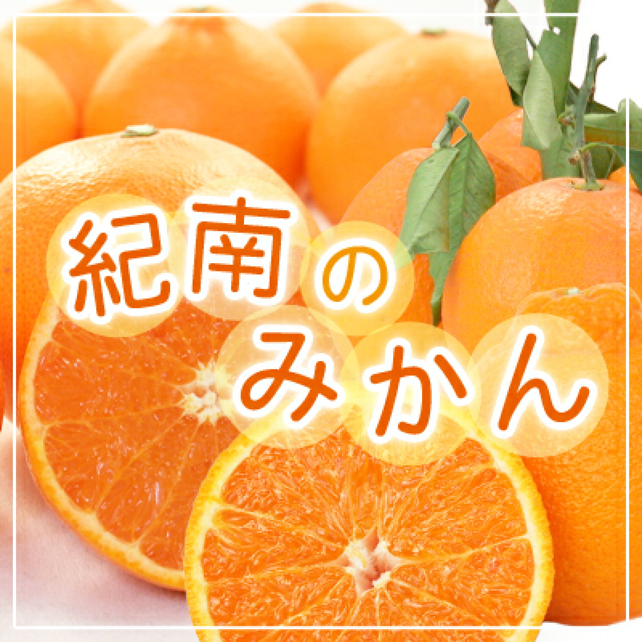 紀南のみかん