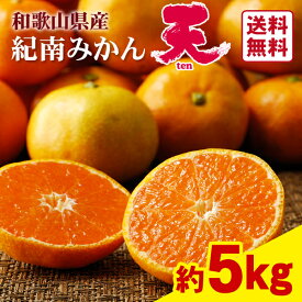 【送料無料】旨味極撰　紀南みかん「天」 5kg★　和歌山県　JA紀南　ブランドみかん　高糖度ミカン　光センサー　早生みかん　10月　11月　秋　冬　柑橘　フルーツ　蜜柑　果物　デザート　手土産　季節限定　産地直送　新鮮　限定　予約販売　甘い