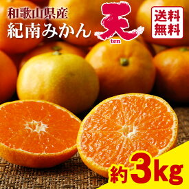 【送料無料】紀南みかん「天」 3kg★　和歌山県　JA紀南　ブランドみかん　高糖度　ミカン　光センサー　早生みかん　10月　11月　秋　冬　季節限定　柑橘　贈答用　ギフト　フルーツ　手土産　果物　新鮮　産地直送　お礼　温州みかん