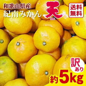 【送料無料】わけあり「天」みかん（サイズ混合） 5kg ★和歌山県紀南のブランドみかん　キズあり　訳あり　無選別　早生みかん　ワケあり　JA　和歌山県　柑橘　お買い得　家庭用　大容量　フルーツ　デザ＾ト　果物　季節限定　予約販売　新鮮　産地直送
