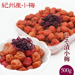 @IBY~ Џ~i13j 500g@Mtg@蕨@@Ε@̓@Џ~@~@o@j@yY@Ԃ@O@v[g@a̎R