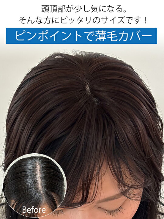 楽天市場】ヘアピース JUST 手のひらサイズのカバーウィッグ 部分 
