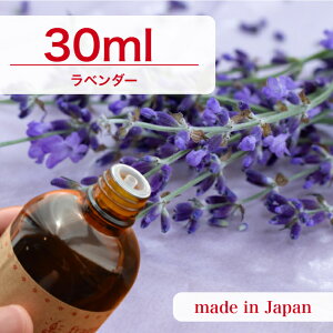 Y A}IC x_[@30mly \[v A}Lh A}Xg[ fBt[U[ TVF ޗ   c[ z