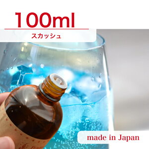 Y A}IC XJbV@100mly \[v A}Lh A}Xg[ fBt[U[ TVF ޗ   c[ z