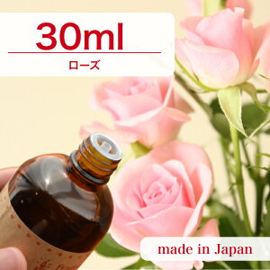 Y A}IC [Y@30mly \[v A}Lh A}Xg[ fBt[U[ TVF ޗ   c[ z