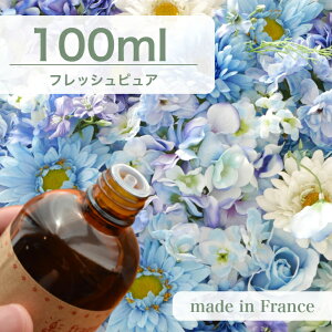 tXY A}IC tbVsA@100mly \[v A}Lh A}Xg[ fBt[U[ TVF ޗ   c[ z