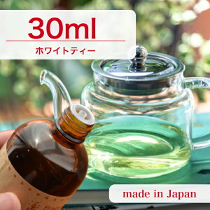 Y A}IC zCgeB[ 30mly \[v A}Lh A}Xg[ fBt[U[ TVF ޗ   c[ z