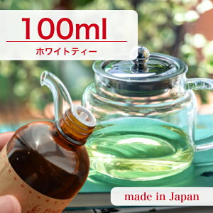 Y A}IC zCgeB[ 100mly \[v A}Lh A}Xg[ fBt[U[ TVF ޗ   c[ z