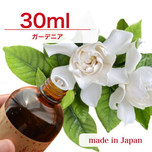 Y A}IC K[fjA 30mly \[v A}Lh A}Xg[ fBt[U[ TVF ޗ   c[ z