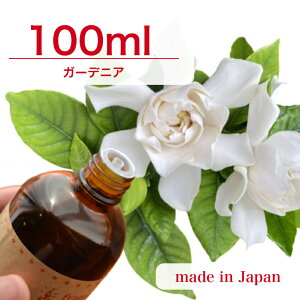 Y A}IC K[fjA 100mly \[v A}Lh A}Xg[ fBt[U[ TVF ޗ   c[ z