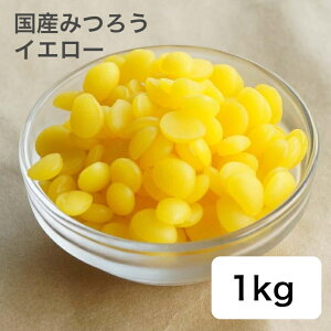 Lhp { ݂낤ir[YbNXj i`CG[ 1kg X  N {Ǖ y X Lh ޗ Lh  z