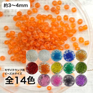 gRvp[c@r[Y 50g S14F@ygRv UCNv R[X^[ nhCh ċx H R z