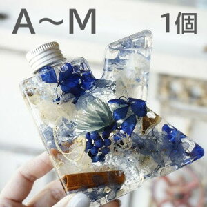 n[oE {g At@xbg Lbvt A`M 1{y n[oE ޗ e PET{g CjV   Mtg z