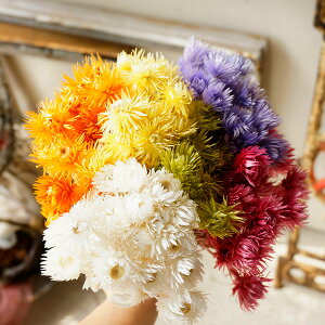 ドライフラワー 花材の人気商品 通販 価格比較 価格 Com