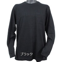 半袖Tシャツ送料無料ポケット付丸首クルーネック綿100%コットン大きいサイズキングビッグサイズ天竺MLLL3L