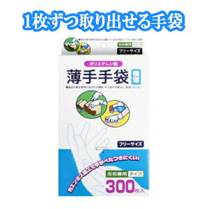 ĝĎ 300 Ep G{XH |G`   t[TCY {bNX^Cv ɔ W-30