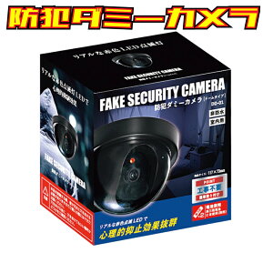 hƃ_~[Jih[^jhƃJ tFCNĎJ p }~