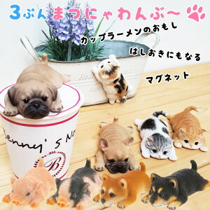 }Olbg JbvW  L Ck  u^ Ղ܂ɂԁ`