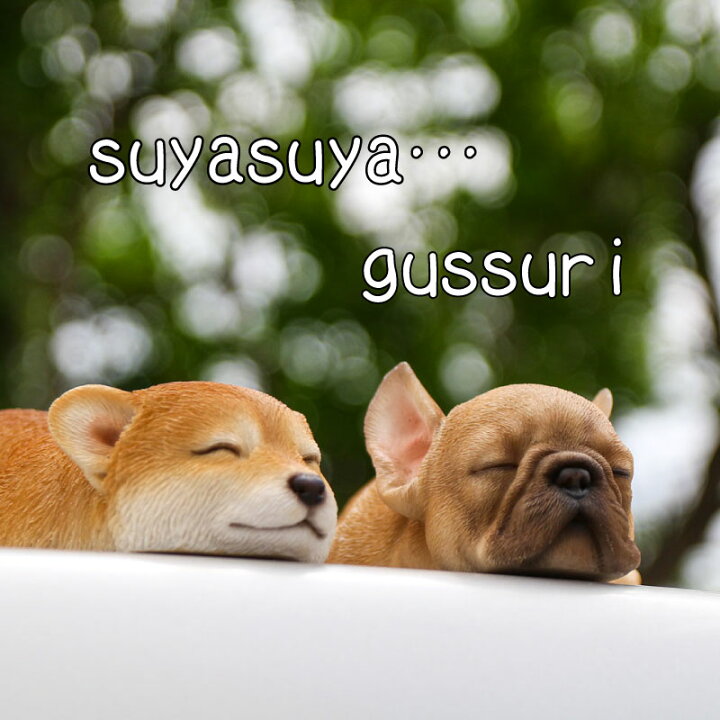 楽天市場】置物 オブジェ おひるね わんこ : Gracious
