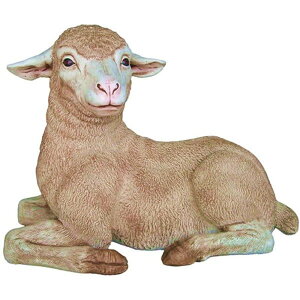   IuWF qЂ̂났 CeA Cxg fBXvC