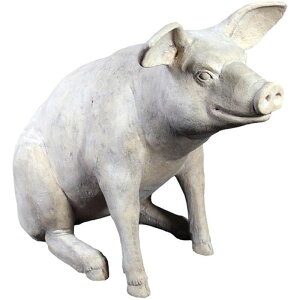   IuWF 䂩ȃu^EXg[ CeA Cxg fBXvC