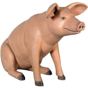  IuWF 䂩ȃu^ CeA Cxg fBXvC