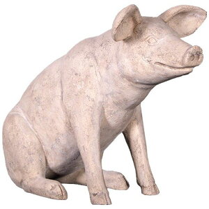  IuWF 䂩ȃu^񏬁EXg[ CeA Cxg fBXvC