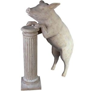   IuWF DSȃu^EXg[ CeA Cxg fBXvC