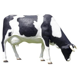   IuWF ꂳ  CeA Cxg fBXvC   EV