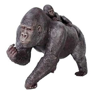   IuWF qwS CeA Cxg fBXvC