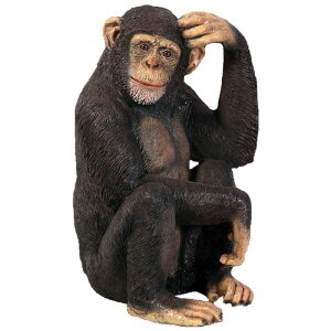   IuWF `pW[ CeA Cxg fBXvC