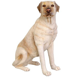   IuWF 胉uh[EzCg CeA Cxg fBXvC