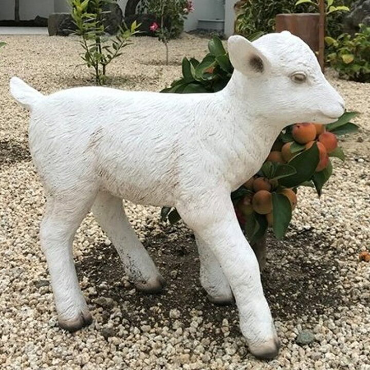 楽天市場】実物大 動物 オブジェ ヤギの赤ん坊 インテリア イベント 