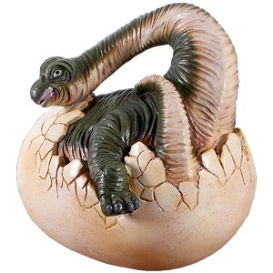   IuWF zuLITEX CeA Cxg fBXvC