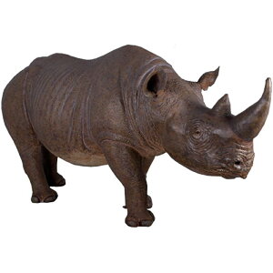   IuWF NTC CeA Cxg fBXvC