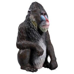   IuWF }h CeA Cxg fBXvC